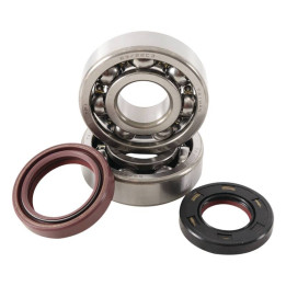 Kit roulements + spis de vilebrequin hot rods yz125 1006872