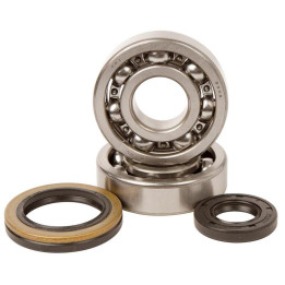 Kit roulements + spis de vilebrequin hot rods rm250 1006924