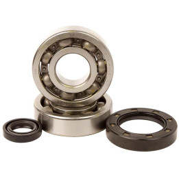 Kit roulements + spis de vilebrequin hot rods cr500r