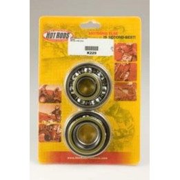 Kit roulements + spis de vilebrequin hot rods rm250 1006923