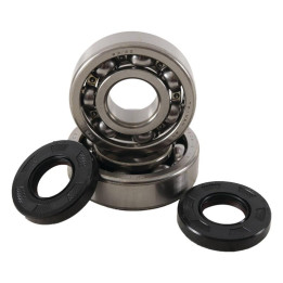 Kit roulements + spis de vilebrequin hot rods kx125 1006931