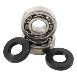 Kit roulements + spis de vilebrequin hot rods kx60/65 kx80/85