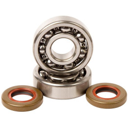 Kit roulements + spis de vilebrequin hot rods sx65 | Oxmoto