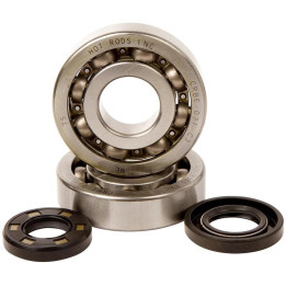 Kit roulements + spis de vilebrequin hot rods kx250 1006921