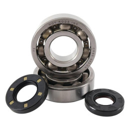 Kit roulements + spis de vilebrequin hot rods kx250 1006868