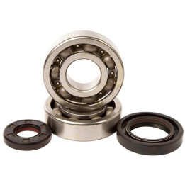 Kit roulements + spis de vilebrequin hot rods yz250 1006874