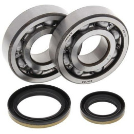 Kit roulements de vilebrequin all balls Suzuki rm250 1008847