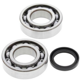 Kit roulements de vilebrequin all balls Suzuki rm-z250