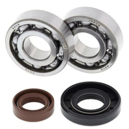 Kit roulements de vilebrequin all balls KTM sx50 1008881
