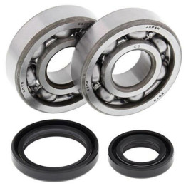 Kit roulements de vilebrequin all balls Suzuki rm85/80