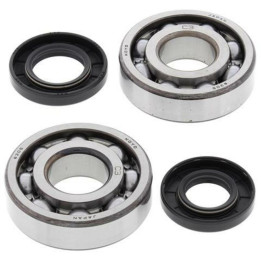 Kit roulements de vilebrequin all balls Kawasaki kx85/65