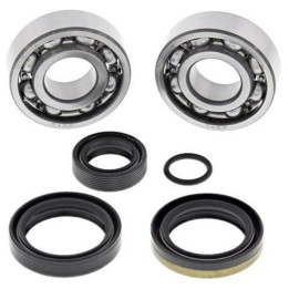 Kit roulements de vilebrequin all balls KTM sx50 1008879