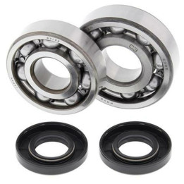 Kit roulements de vilebrequin all balls Kawasaki kx125 1008840