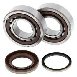 Kit roulements de vilebrequin all balls KTM sx-f250 | Oxmoto