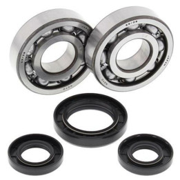 Kit roulements de vilebrequin all balls Yamaha yz250 1008851