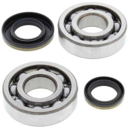 Kit roulements de vilebrequin all balls Suzuki rm250 1008862