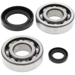 Kit roulements de vilebrequin all balls Honda cr500r