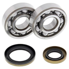 Kit roulements de vilebrequin all balls gas gas ec125