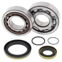Kit roulements de vilebrequin all balls gas gas ec250/300