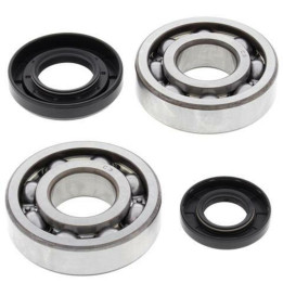 Kit roulements de vilebrequin all balls Yamaha yz250 1008852