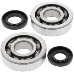 Kit roulements de vilebrequin all balls Kawasaki kx250 1008863
