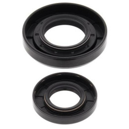 Joints spy de vilebrequin all balls Yamaha yz250 | Oxmoto