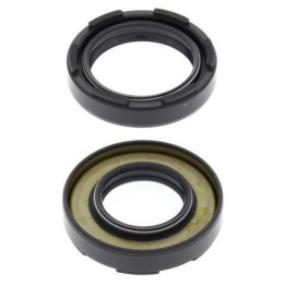 Joints spy de vilebrequin all balls Yamaha wr500 | Oxmoto