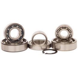 Kit roulements boîte de vitesse hot rods Kawasaki kx65 1019243