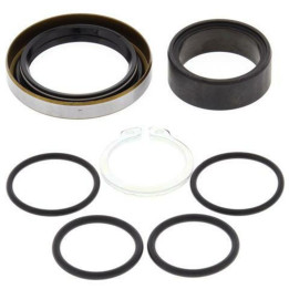 Kit reconditionnement d'arbre de sortie de boîte all balls 1008798