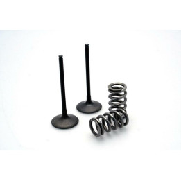 Kit soupapes d'admission acier pour crf450r '09-10 | Oxmoto