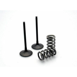 Kit conversion de soupapes d'admission PROX titane - acier KTM exc-f250