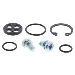 Kit de réparation de robinet d'essence all balls Kawasaki vulcan 1500