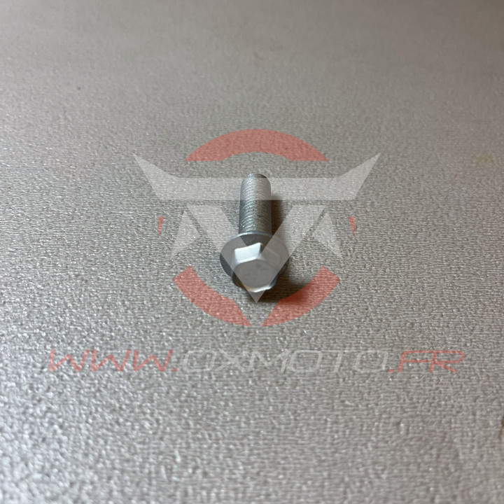 Boulon 8.30 rs ch 10 | Oxmoto
