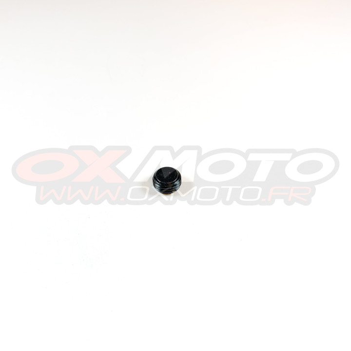 Vis étrier de frein 2503056/2503066 | Oxmoto