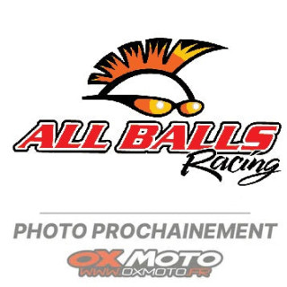 Kit réparation de carburateur all balls Honda 250 cr 1118288