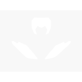 Fonds de plaque Blackbird blanc Fantic xx | Oxmoto