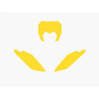 Fonds de plaque Blackbird jaune Fantic xx | Oxmoto