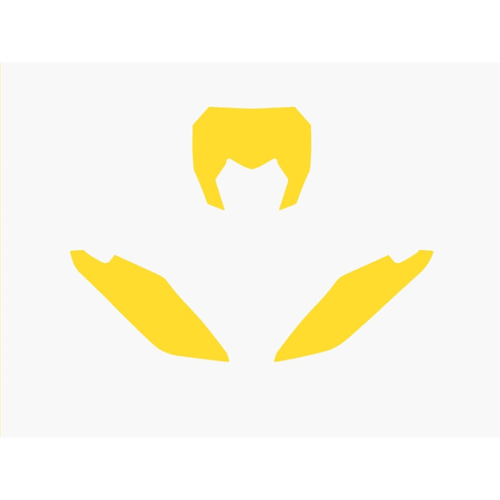 Fonds de plaque Blackbird jaune Fantic xx | Oxmoto