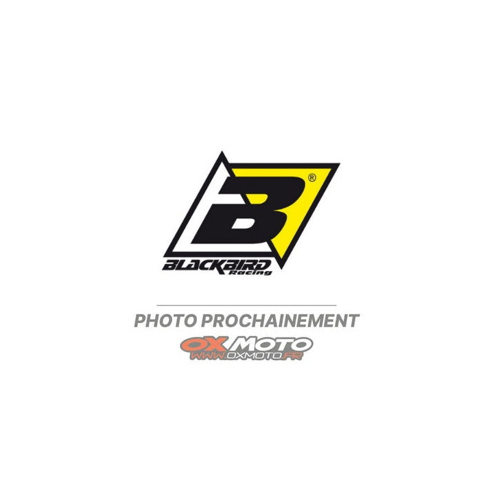 Fonds de plaque Blackbird vert Fantic XX | Oxmoto