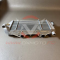 Radiateur gauche Beta 2T rr 2020/2025 | Oxmoto