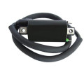 Bobine d'allumage Tecnium 4062 DZE 1124235 | Oxmoto