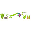 Kit complet Blackbird retro Kawasaki | Oxmoto