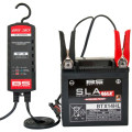 Chargeur de batterie intelligent bs battery bs30 12V 3A