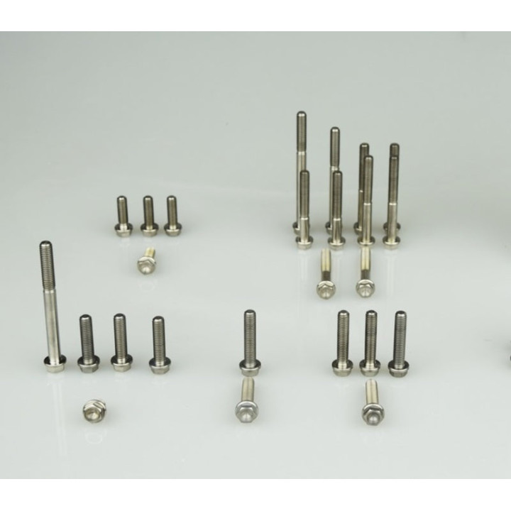 Kit vis moteur Scar titane 47 pièces | Oxmoto