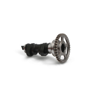 Arbre à cames simple hot cams niveau 1 | Oxmoto