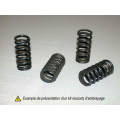 Kit ressorts d'embrayage Tourmax 1016690 | Oxmoto
