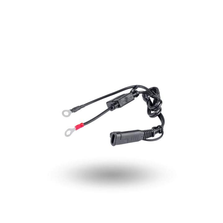 Chargeur batterie lithium + classique 6v/12v 1A | Oxmoto