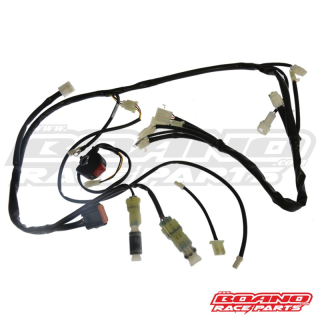 Faisceau simplifié Boano Beta 300 rr racing 2024-2025