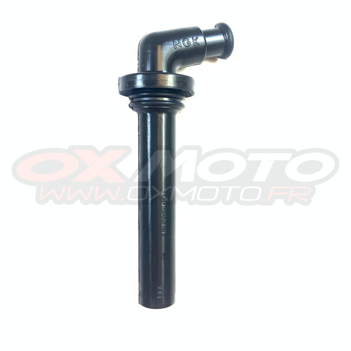 Antiparasite Beta origine 006.10.055.00.00 | Oxmoto