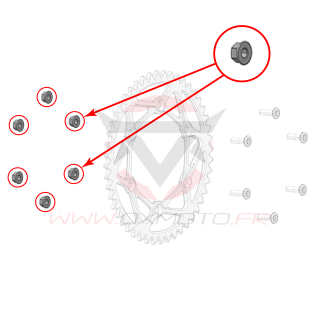 Ecrou de couronne stark varg | Oxmoto